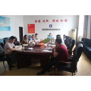 集团公司党委中心组开展“两学一做”学习讨论