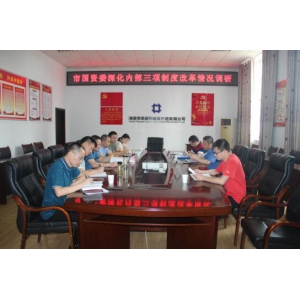 市国资委副主任陈建军一行调研集团公司“三项制度”改革工作